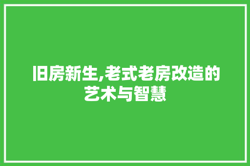 旧房新生,老式老房改造的艺术与智慧