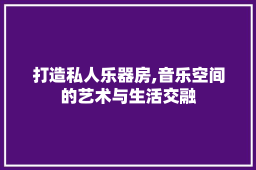 打造私人乐器房,音乐空间的艺术与生活交融
