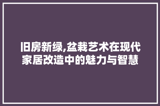 旧房新绿,盆栽艺术在现代家居改造中的魅力与智慧