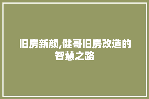 旧房新颜,健哥旧房改造的智慧之路