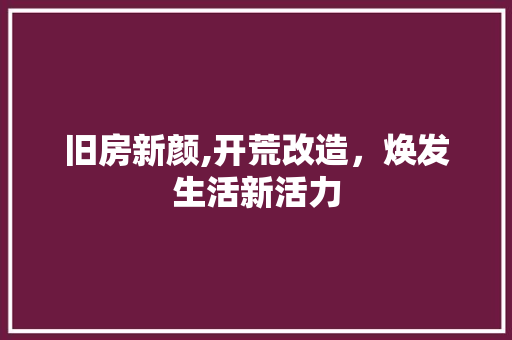 旧房新颜,开荒改造，焕发生活新活力