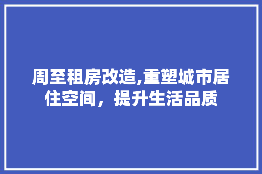 周至租房改造,重塑城市居住空间，提升生活品质