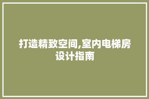 打造精致空间,室内电梯房设计指南