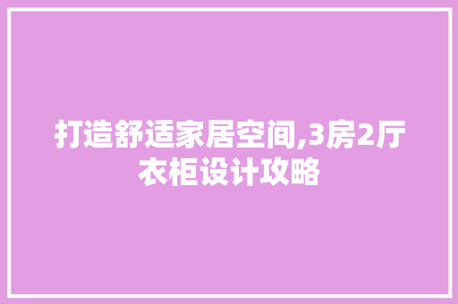 打造舒适家居空间,3房2厅衣柜设计攻略