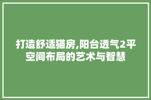 打造舒适猫房,阳台透气2平空间布局的艺术与智慧