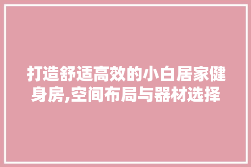 打造舒适高效的小白居家健身房,空间布局与器材选择指南