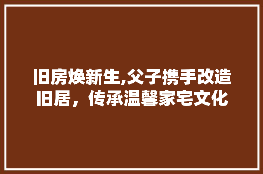 旧房焕新生,父子携手改造旧居，传承温馨家宅文化