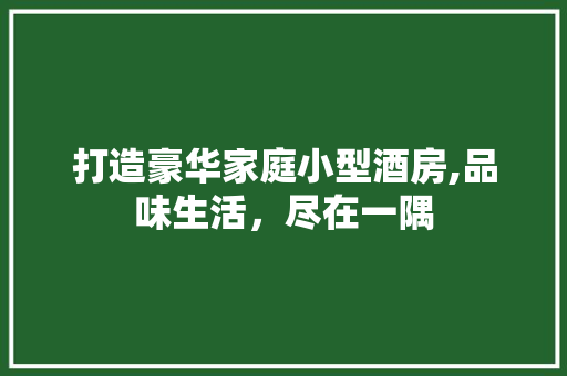 打造豪华家庭小型酒房,品味生活，尽在一隅