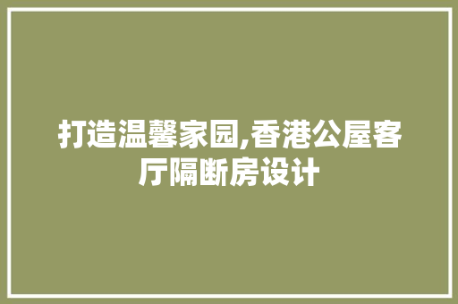 打造温馨家园,香港公屋客厅隔断房设计