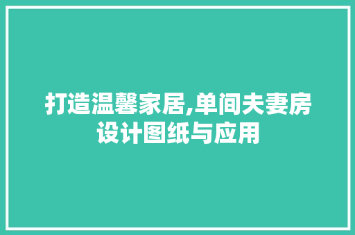 打造温馨家居,单间夫妻房设计图纸与应用