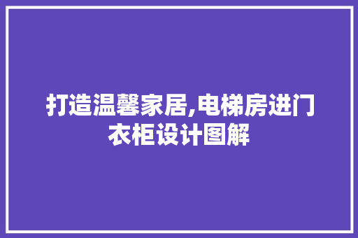 打造温馨家居,电梯房进门衣柜设计图解