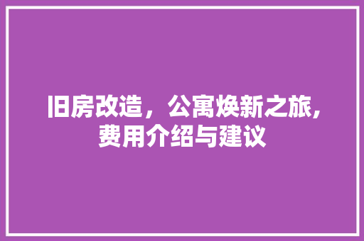 旧房改造，公寓焕新之旅,费用介绍与建议