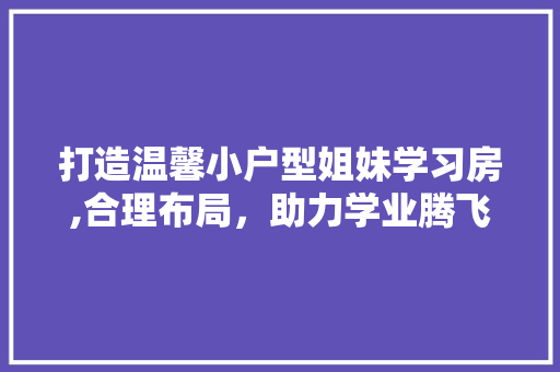 打造温馨小户型姐妹学习房,合理布局，助力学业腾飞