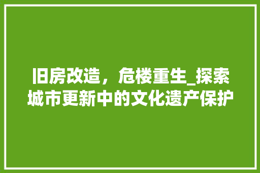 旧房改造，危楼重生_探索城市更新中的文化遗产保护与现代化融合