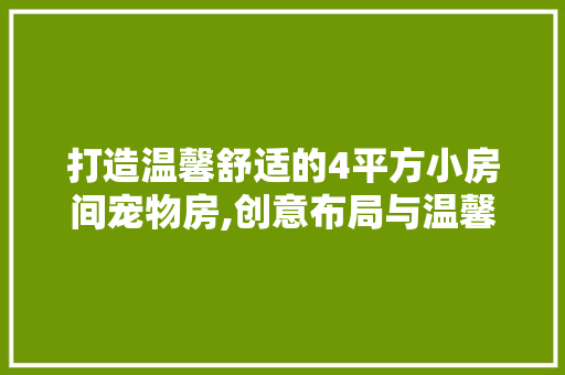 打造温馨舒适的4平方小房间宠物房,创意布局与温馨细节