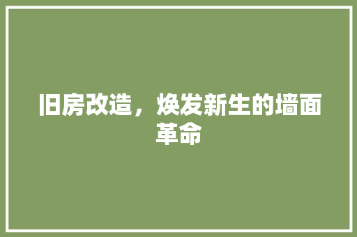 旧房改造，焕发新生的墙面革命