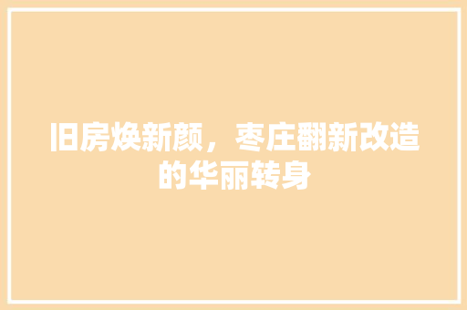 旧房焕新颜，枣庄翻新改造的华丽转身