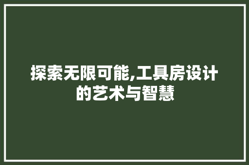 探索无限可能,工具房设计的艺术与智慧