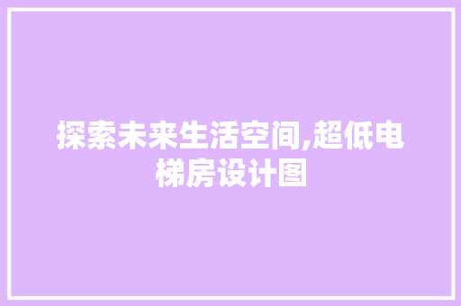 探索未来生活空间,超低电梯房设计图