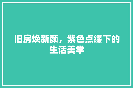 旧房焕新颜，紫色点缀下的生活美学