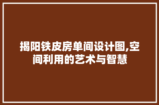 揭阳铁皮房单间设计图,空间利用的艺术与智慧