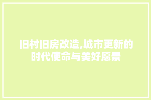 旧村旧房改造,城市更新的时代使命与美好愿景