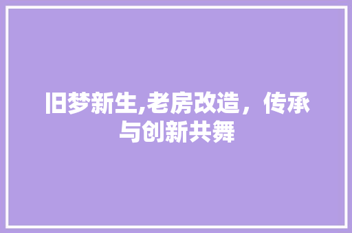 旧梦新生,老房改造，传承与创新共舞