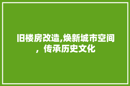 旧楼房改造,焕新城市空间，传承历史文化