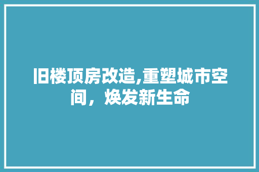 旧楼顶房改造,重塑城市空间，焕发新生命