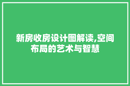 新房收房设计图解读,空间布局的艺术与智慧