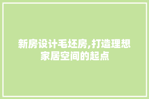 新房设计毛坯房,打造理想家居空间的起点