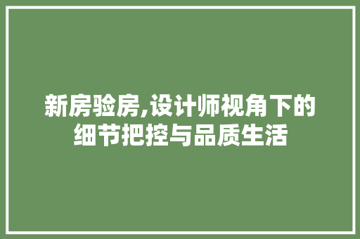 新房验房,设计师视角下的细节把控与品质生活