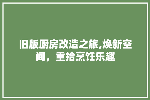 旧版厨房改造之旅,焕新空间，重拾烹饪乐趣