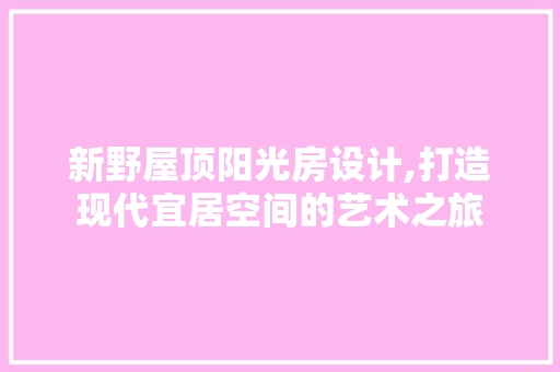 新野屋顶阳光房设计,打造现代宜居空间的艺术之旅