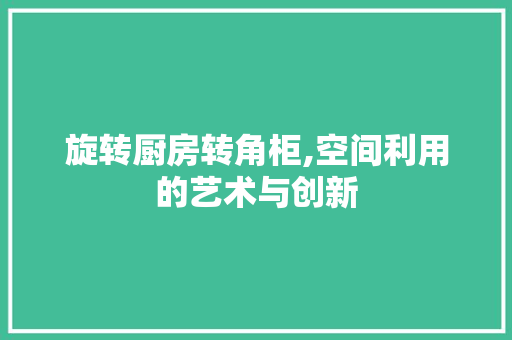 旋转厨房转角柜,空间利用的艺术与创新