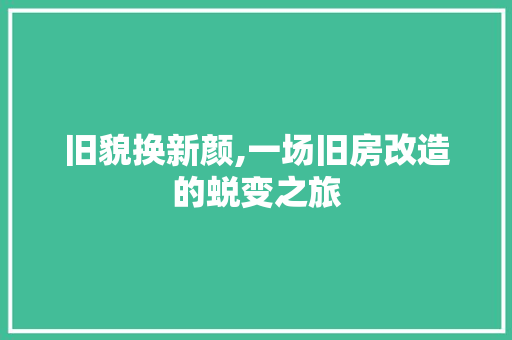 旧貌换新颜,一场旧房改造的蜕变之旅