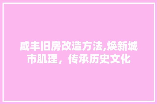 咸丰旧房改造方法,焕新城市肌理，传承历史文化