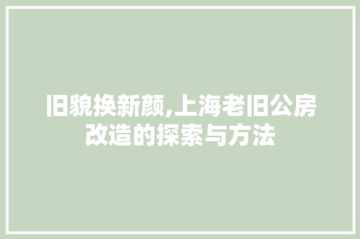 旧貌换新颜,上海老旧公房改造的探索与方法