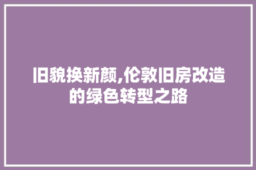 旧貌换新颜,伦敦旧房改造的绿色转型之路