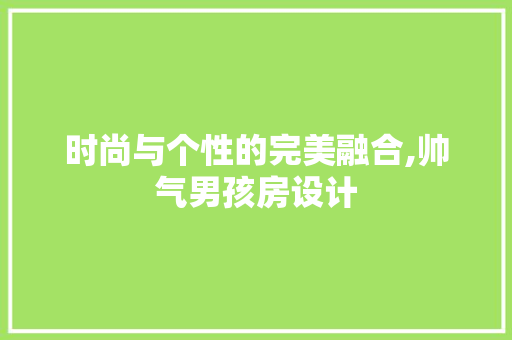 时尚与个性的完美融合,帅气男孩房设计