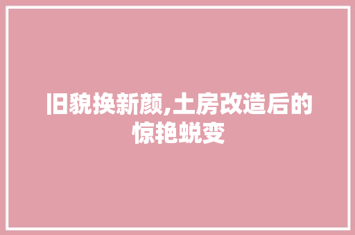 旧貌换新颜,土房改造后的惊艳蜕变