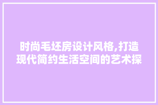 时尚毛坯房设计风格,打造现代简约生活空间的艺术探索