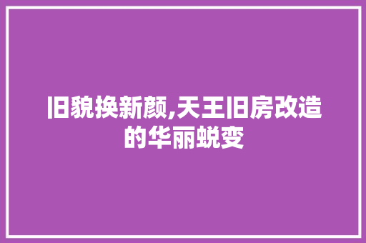 旧貌换新颜,天王旧房改造的华丽蜕变