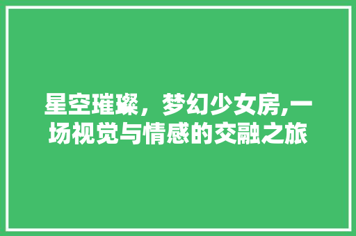 星空璀璨，梦幻少女房,一场视觉与情感的交融之旅