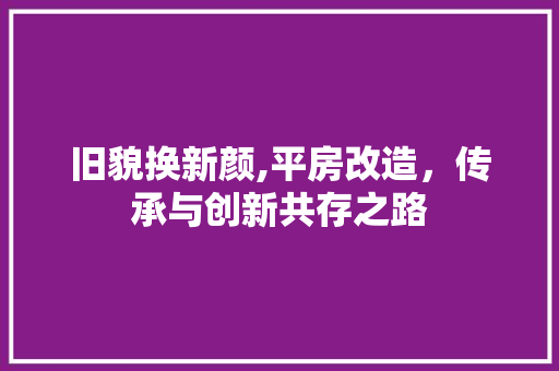旧貌换新颜,平房改造，传承与创新共存之路