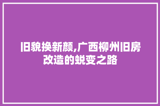 旧貌换新颜,广西柳州旧房改造的蜕变之路