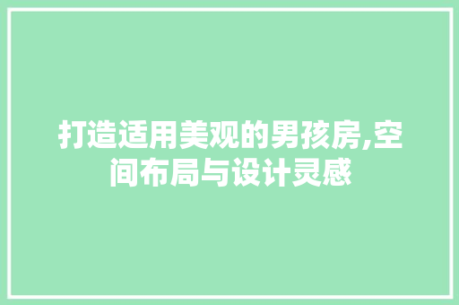 打造适用美观的男孩房,空间布局与设计灵感