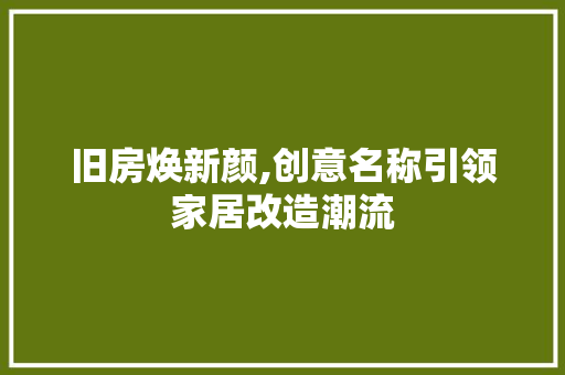 旧房焕新颜,创意名称引领家居改造潮流