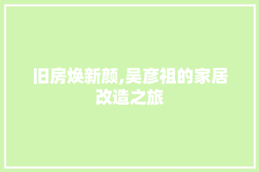 旧房焕新颜,吴彦祖的家居改造之旅