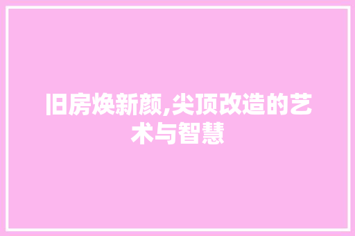 旧房焕新颜,尖顶改造的艺术与智慧